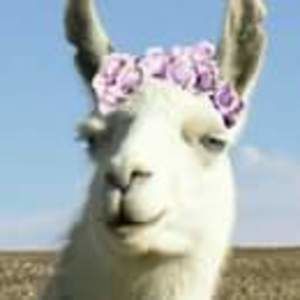 Meet your Posher, Gena